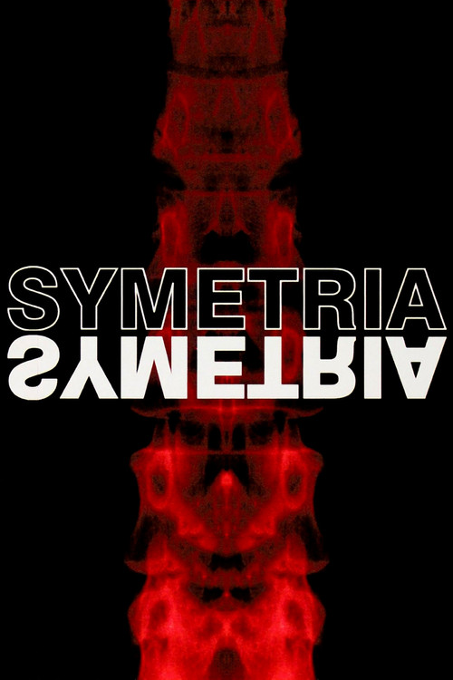 Movie poster for Symmetry (2003)