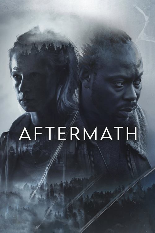Movie poster for Aftermath (2024)