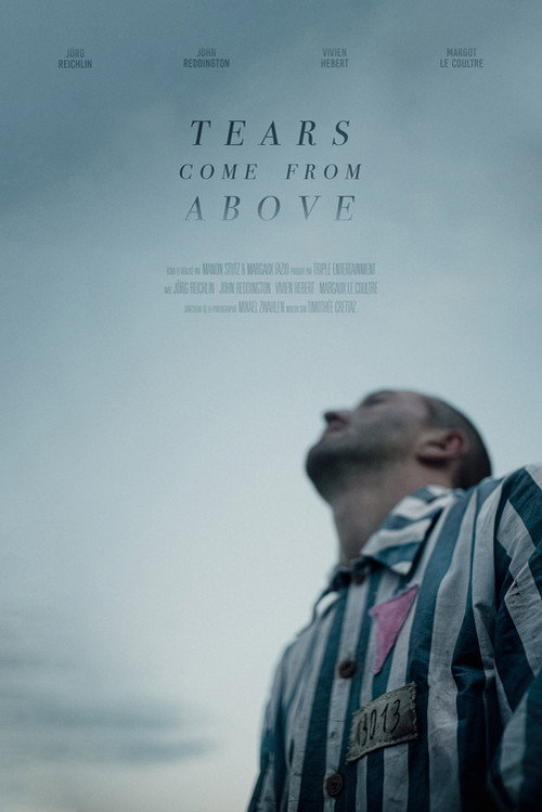Movie poster for Tears Come from Above (2023)
