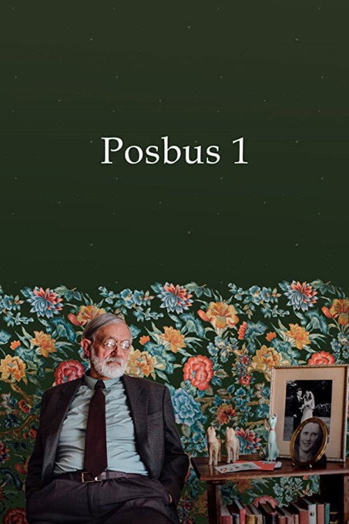 Movie poster for Posbus 1 (2019)