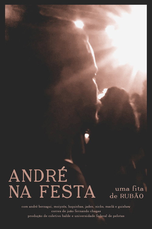 Movie poster for André na Festa (2019)