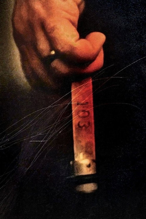Movie poster for The Third Person