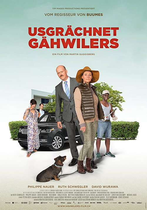 Movie poster for Meet The Gähwilers (2017)