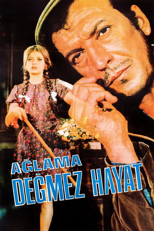 Movie poster for Ağlama Değmez Hayat (1969)