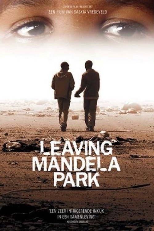 Movie poster for Leaving Mandela Park (2010)