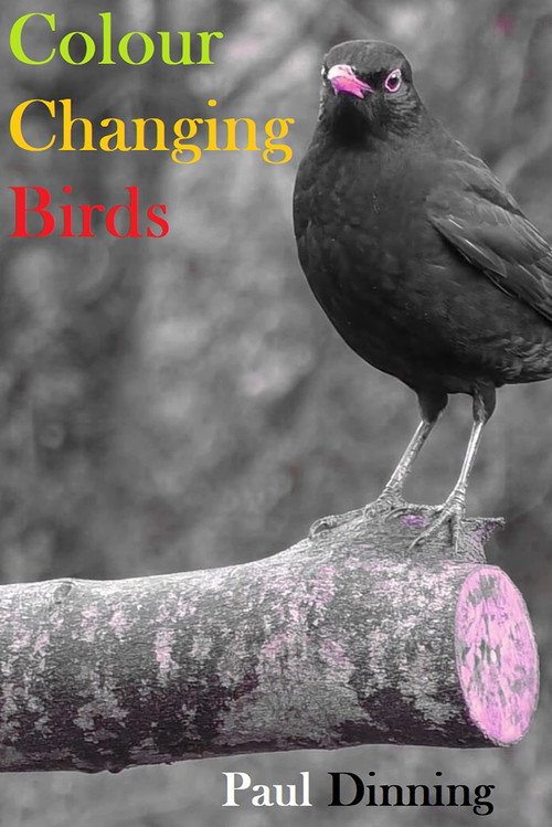 Movie poster for Colour Changing Birds (2023)
