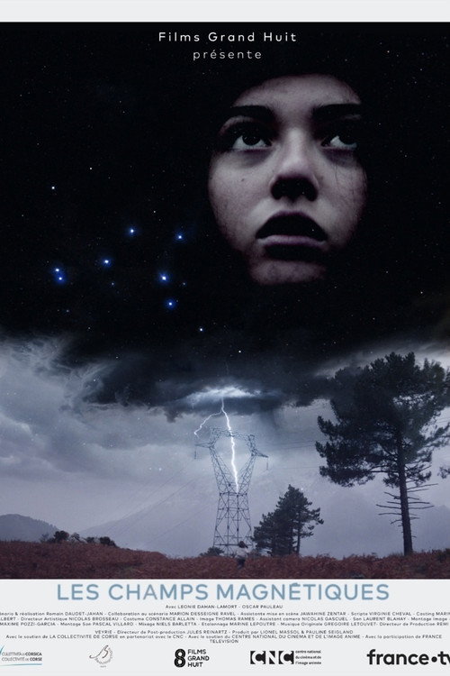Movie poster for Magnetic Fields (2021)