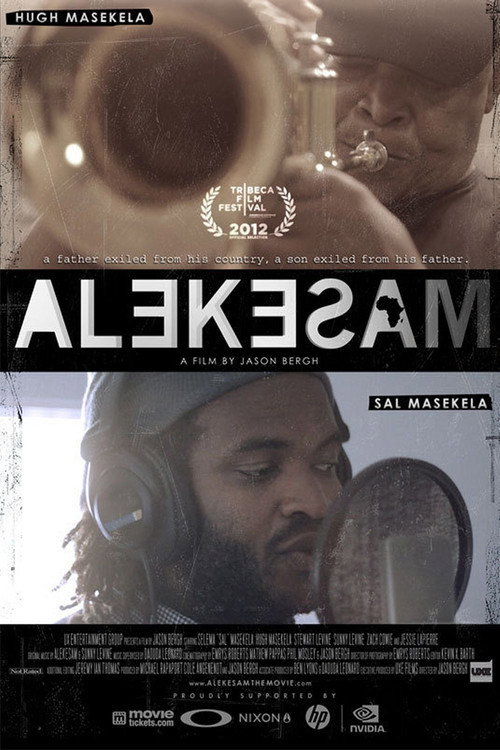 Movie poster for Alekesam (2013)