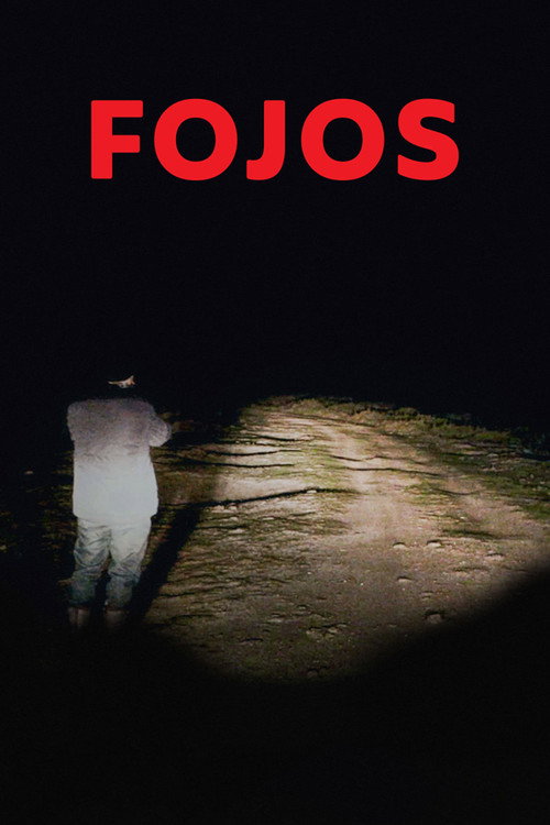 Movie poster for Fojos (2020)