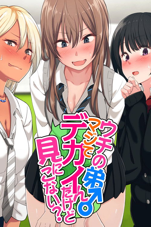 Uchi no Otouto Maji de Dekain Dakedo Mi ni Konai? poster