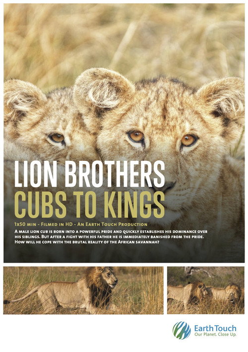 Movie poster for Lion Brothers: Cubs to Kings (2019)