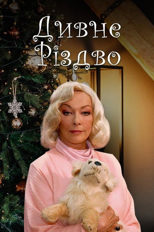 Movie poster for Weird Christmas (2006)