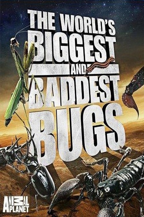 Movie poster for The World's Biggest and Baddest Bugs (2009)