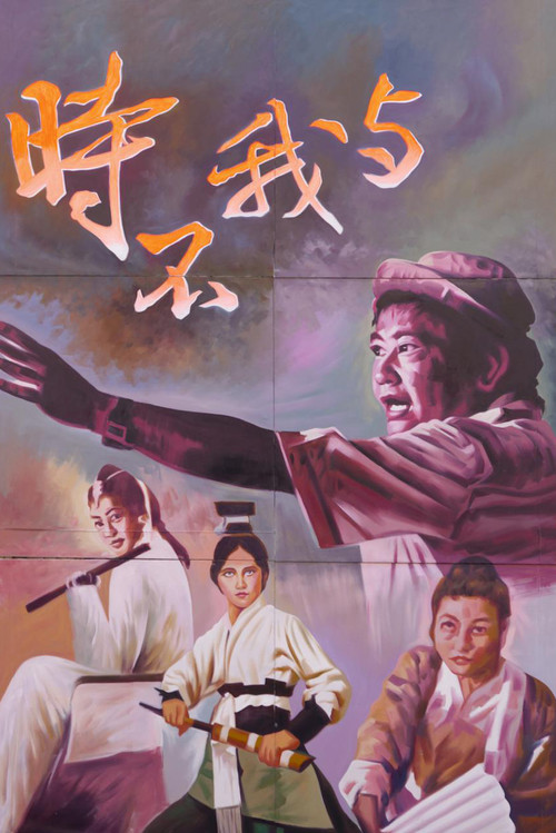 Movie poster for Time and Tide Wait for No Man: A Touch of King Hu (2012)