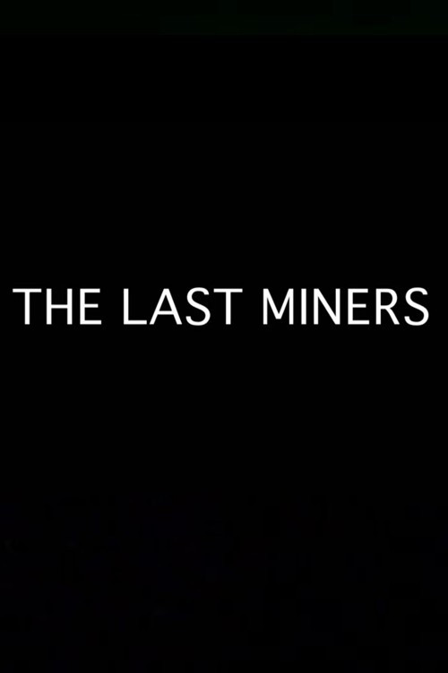 Movie poster for The Last Miners (2016)