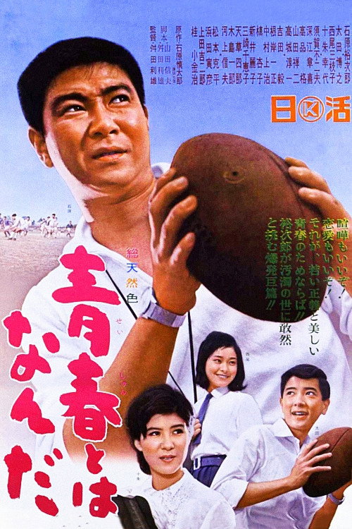 Movie poster for Why Are We Young? (1965)