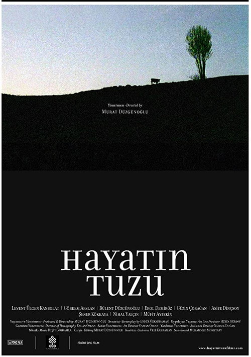 Movie poster for Hayatın Tuzu (2008)