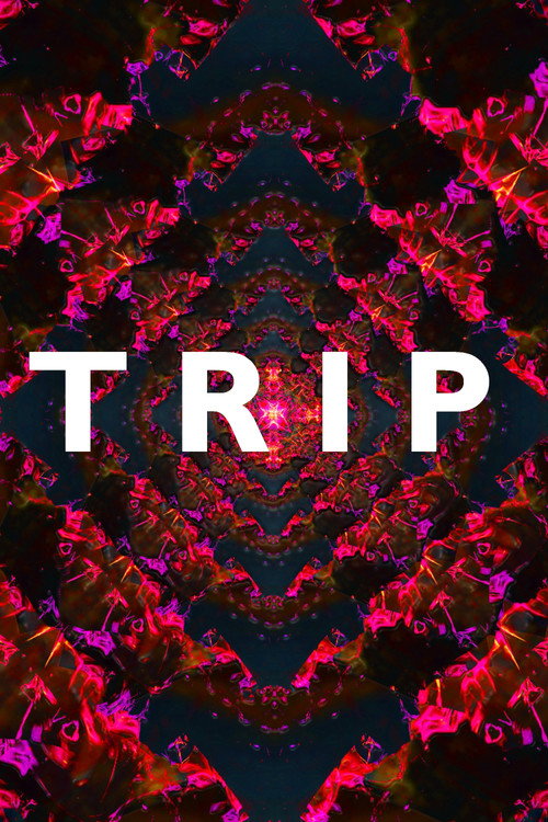 Movie poster for Trip (2018)