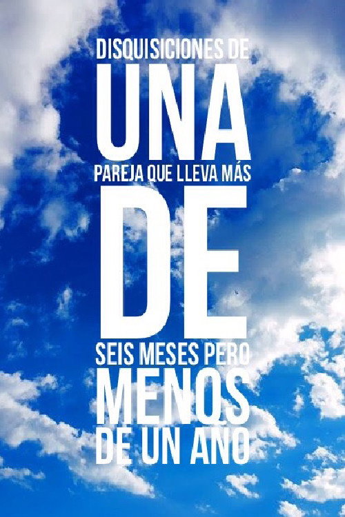 Movie poster for Disquisiciones de una pareja que lleva más de seis meses y menos de un año (2017)