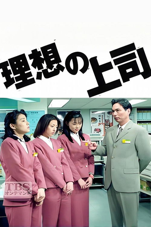 The Perfect Boss poster