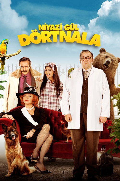 Movie poster for Niyazi Gül Dörtnala (2015)