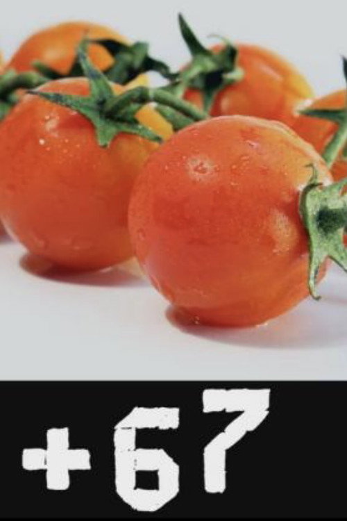 Movie poster for #67 (2012)