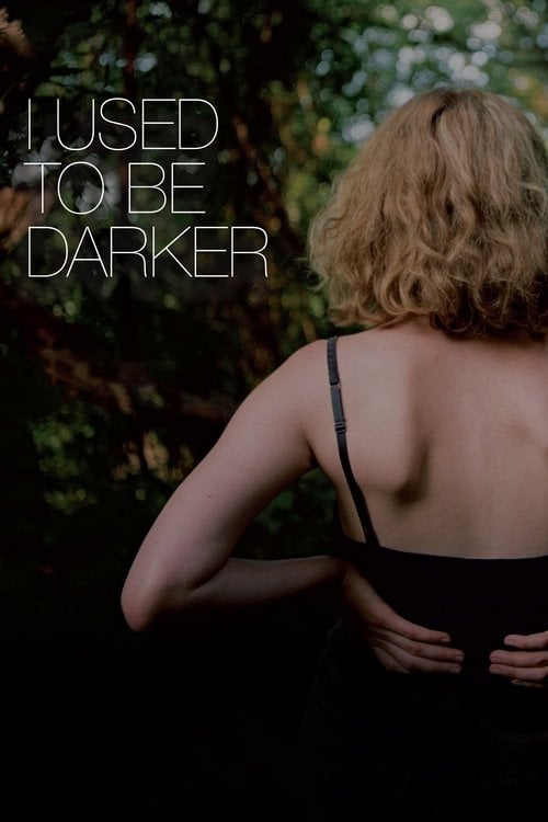 Movie poster for I Used to Be Darker (2013)