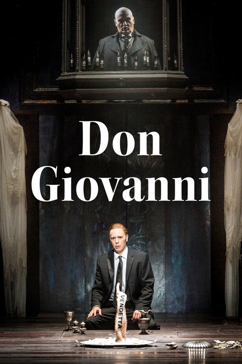 Movie poster for Don Giovanni (2013)