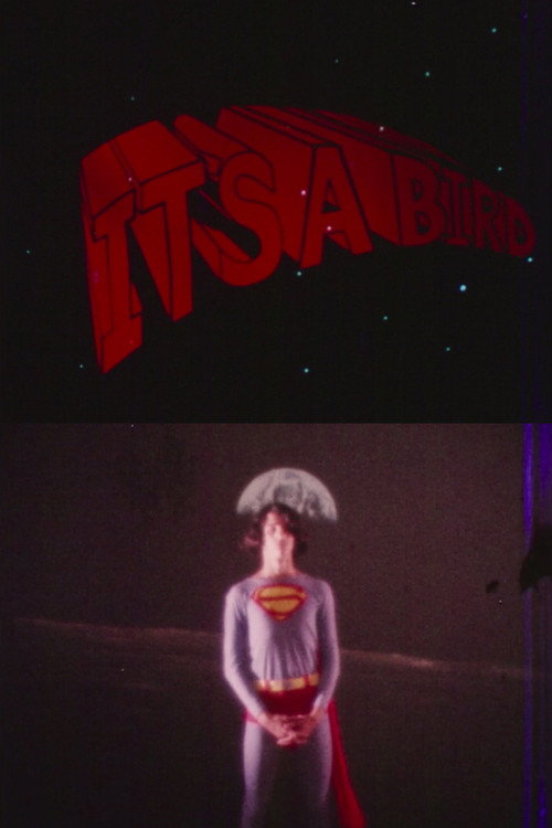 Movie poster for It's a Bird (1971)