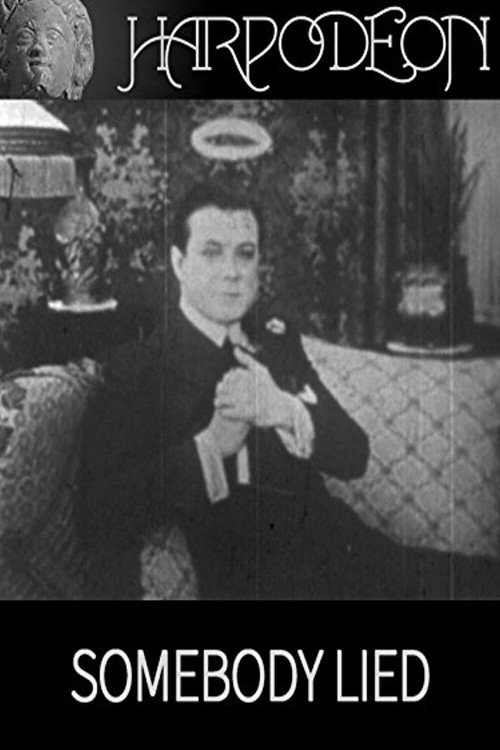 Movie poster for Somebody Lied (1917)