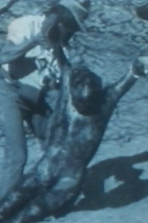 Movie poster for Senderos de violencia (1985)