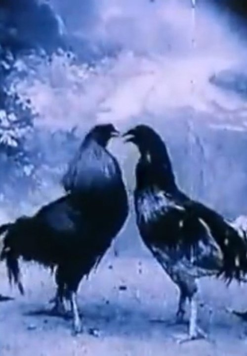 Movie poster for Criminal Animals (1994)