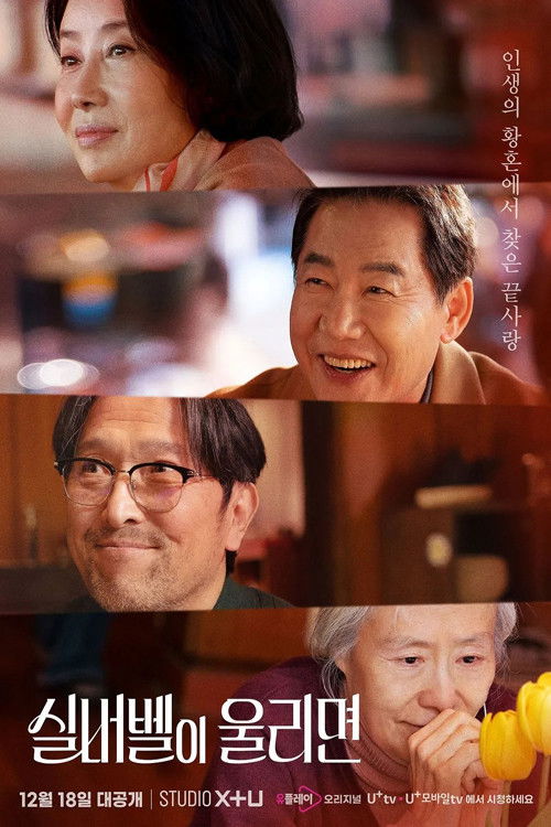 When the Silver Bell Rings poster