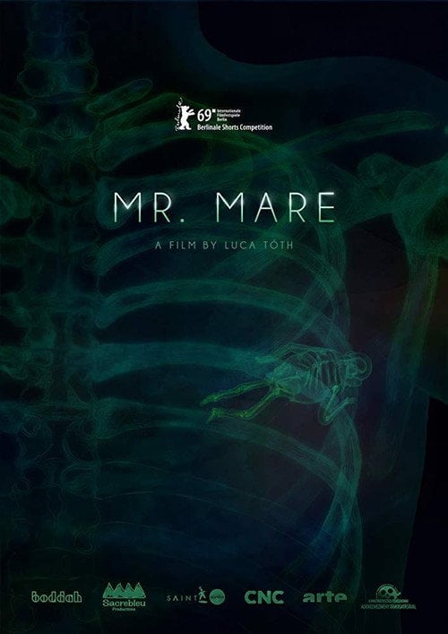 Movie poster for Mr. Mare (2019)