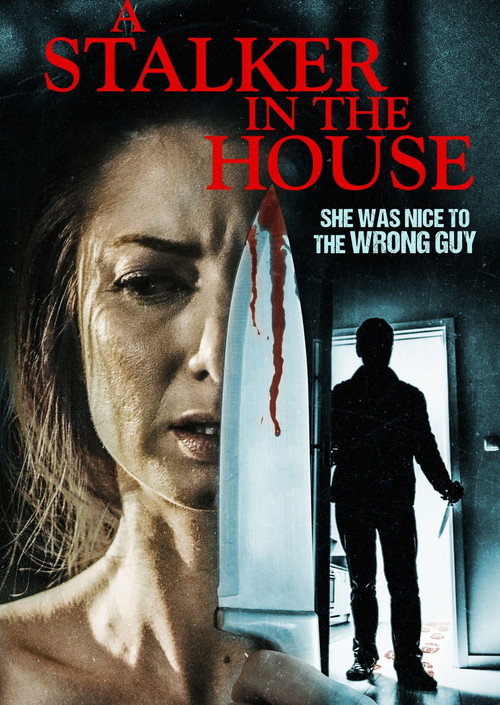 Movie poster for A Stalker in the House (2021)