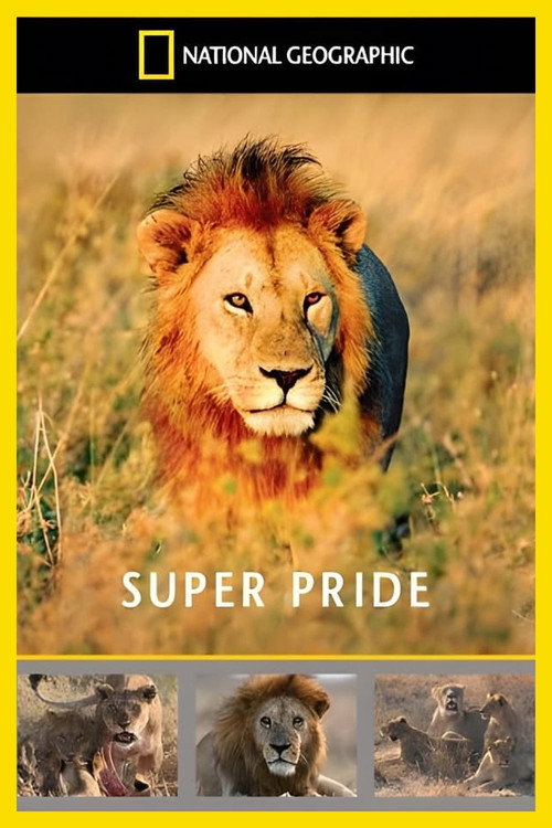 Movie poster for Superpride (2008)