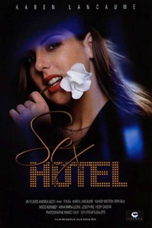 Movie poster for Sex Hotel (1999)