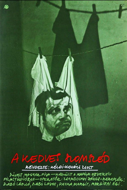 Movie poster for A Nice Neighbor (1979)