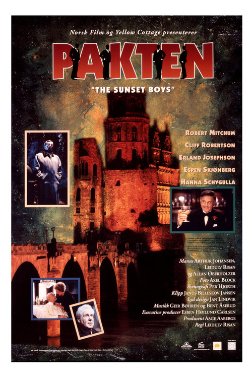 Movie poster for The Sunset Boys (1995)