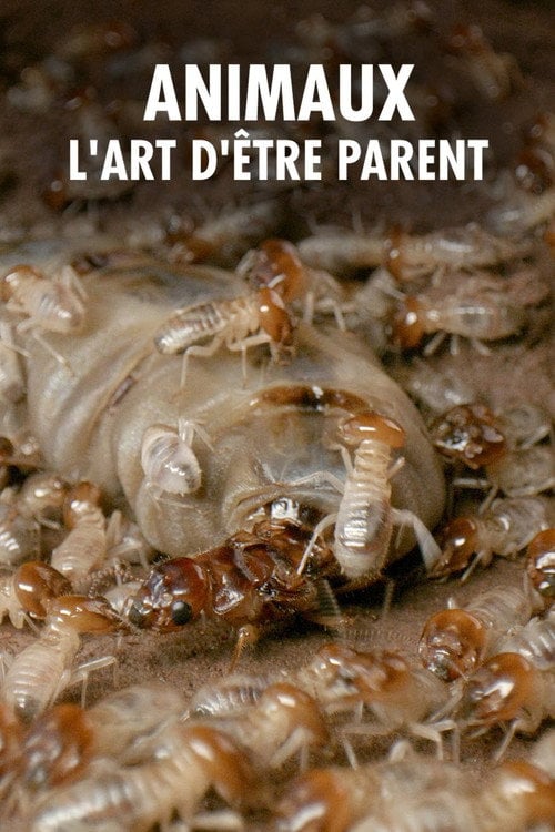 Series poster for Wilde Eltern (2024)