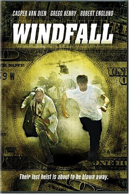 Movie poster for Windfall (2002)