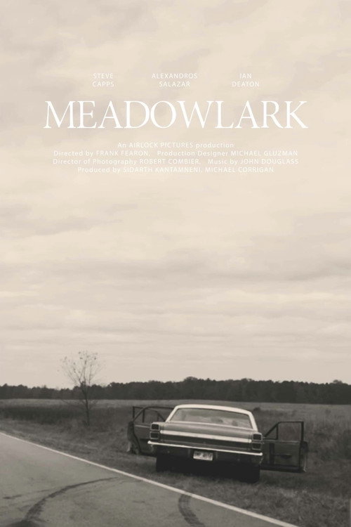 Movie poster for Meadowlark (2019)