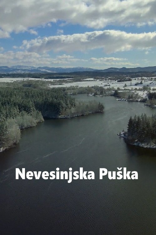 Movie poster for The Herzegovina Uprising (2025)