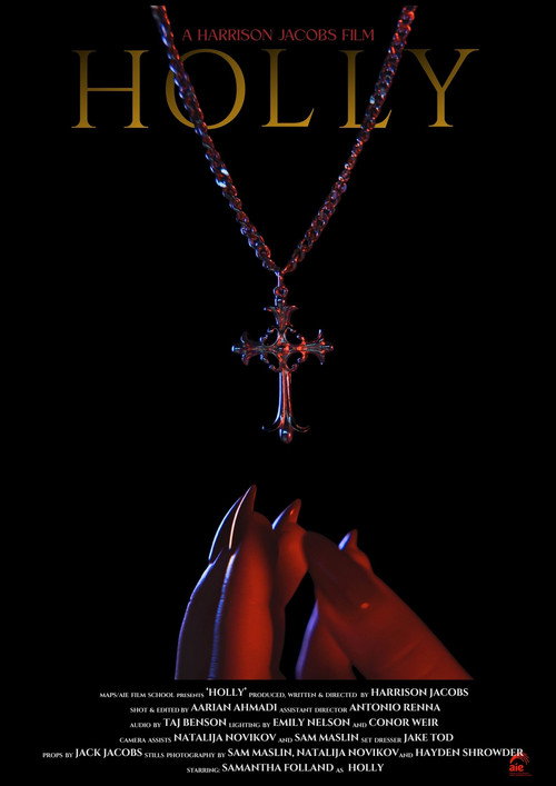 Movie poster for Holly