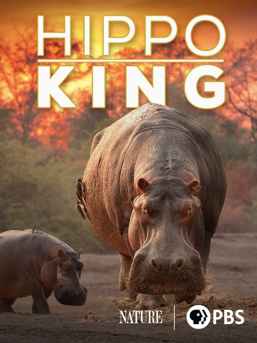 Movie poster for Hippo King (2022)