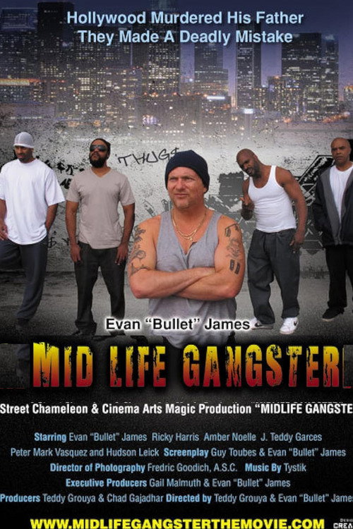 Movie poster for Mid Life Gangster (2013)
