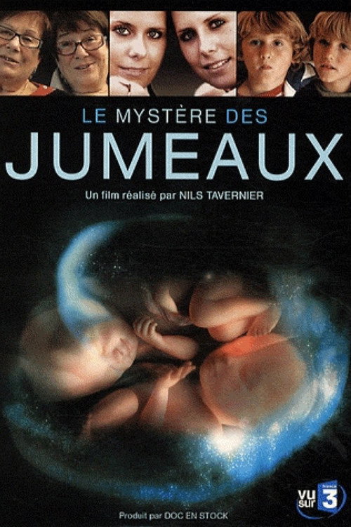 Movie poster for Le mystère des jumeaux (2009)