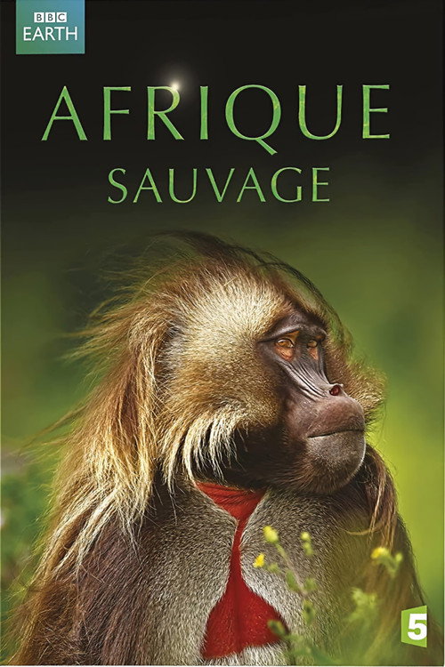 Movie poster for Afrique Sauvage (2012)
