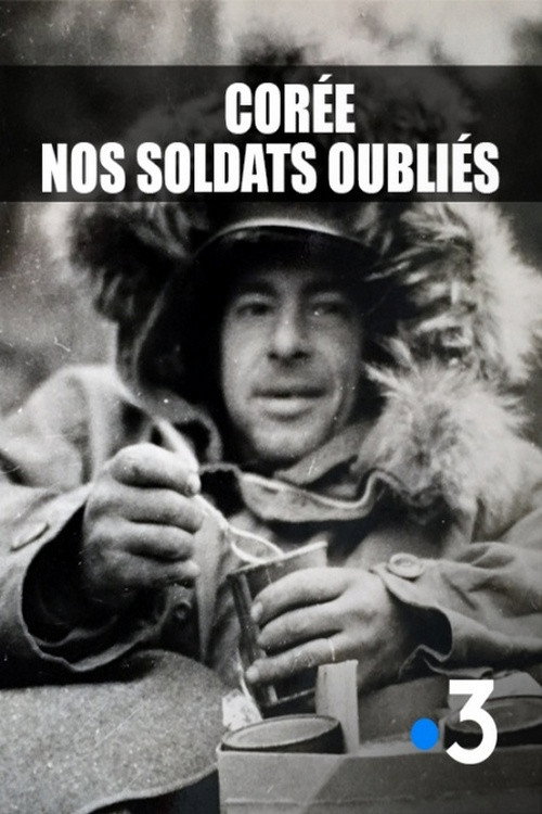Movie poster for Corée, nos soldats oubliés (2015)