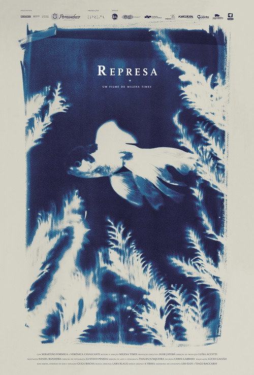 Movie poster for Represa (2016)